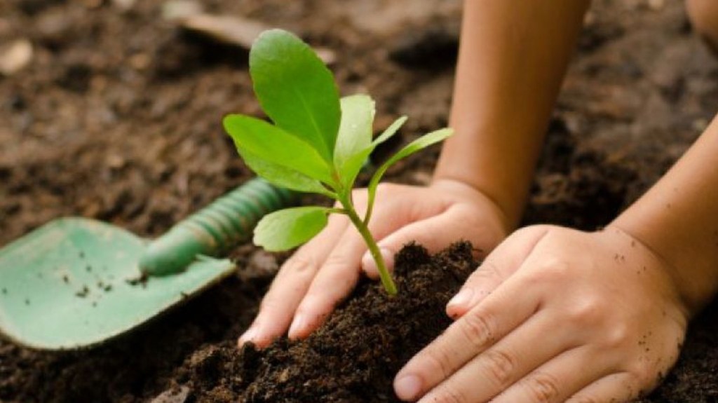 20 IDEIAS BÁSICAS PARA COMEÇAR JÁ HOJE A CUIDAR DO AMBIENTE